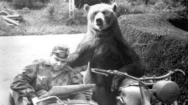 Wojtek in motorcycle sidecar